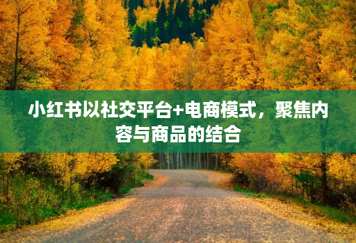 小红书以社交平台+电商模式,聚焦内容与商品的结合