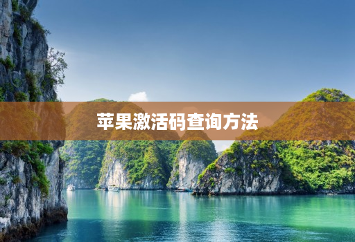 苹果激活码查询方法