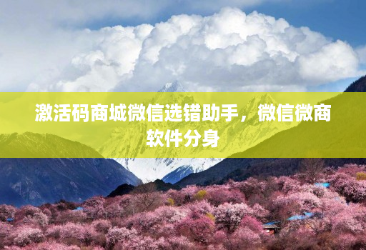 激活码商城微信选错助手,微信微商软件分身