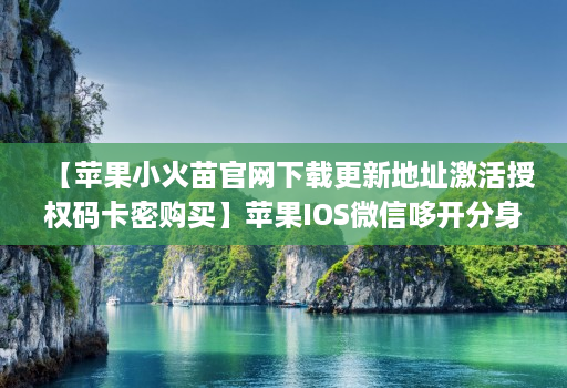 【苹果小火苗官网下载更新地址激活授权码卡密购买】苹果IOS微信哆开分身万群直播讲课微信群发微信密友语音转发虚拟定位【万人迷同款】