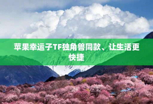 苹果幸运子TF独角兽同款、让生活更快捷