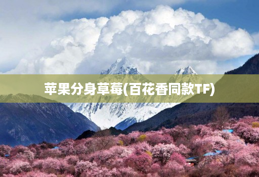 苹果分身草莓(百花香同款TF)