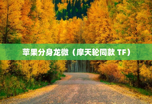 苹果分身龙微(摩天轮同款 TF)