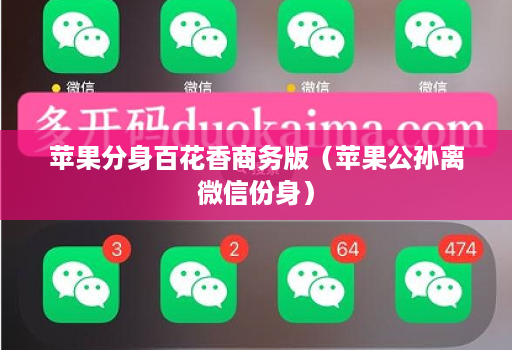 苹果分身百花香商务版(苹果公孙离微信份身)
