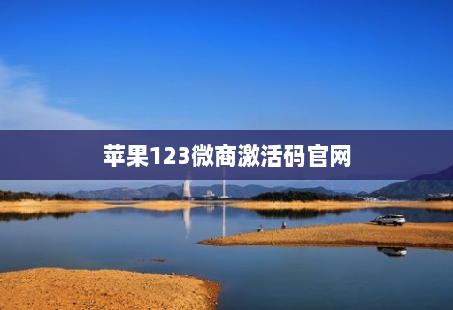 苹果123微商激活码官网