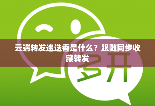 云端转发迷迭香是什么?跟随同步收藏转发