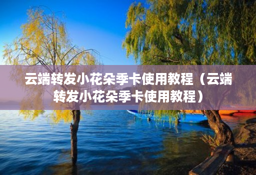 云端转发小花朵季卡使用教程(云端转发小花朵季卡使用教程)