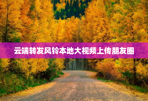云端转发风铃本地大视频上传朋友圈