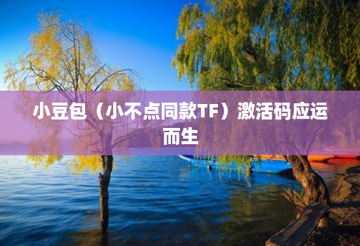 小豆包(小不点同款TF)激活码应运而生