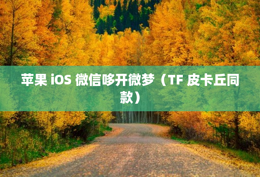 苹果 iOS 微信哆开微梦(TF 皮卡丘同款)
