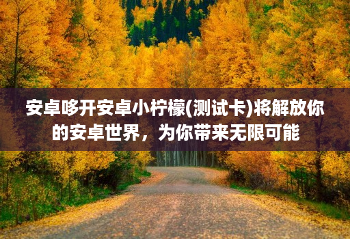 安卓哆开安卓小柠檬(测试卡)将解放你的安卓世界,为你带来无限可能
