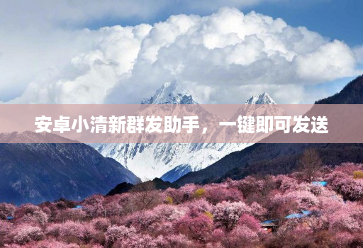 安卓小清新群发助手,一键即可发送
