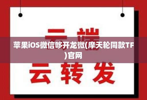 苹果iOS微信哆开龙微(摩天轮同款TF)官网
