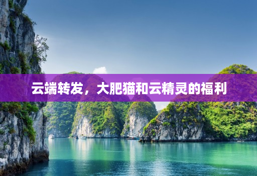 云端转发,大肥猫和云精灵的福利