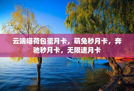 云端喵荷包蛋月卡,萌兔秒月卡,奔驰秒月卡,无限速月卡