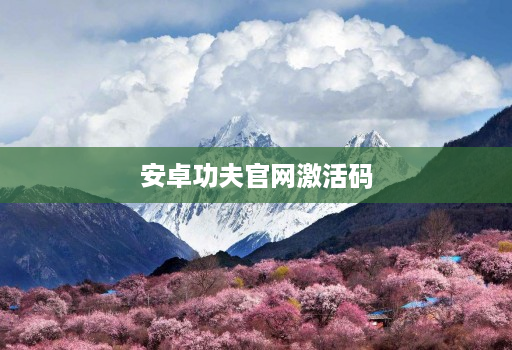 安卓功夫官网激活码
