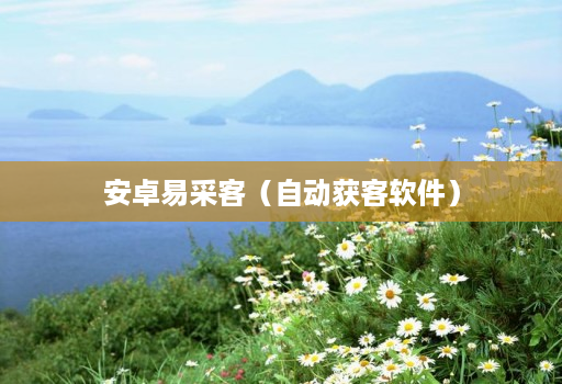 安卓易采客(自动获客软件)