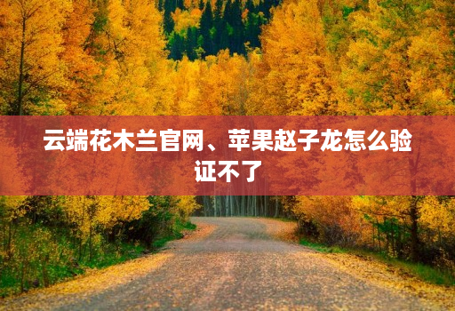 云端花木兰官网、苹果赵子龙怎么验证不了