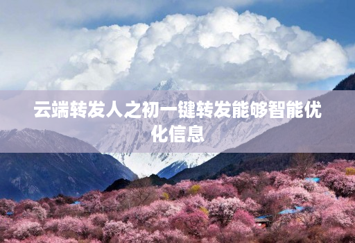 云端转发人之初一键转发能够智能优化信息