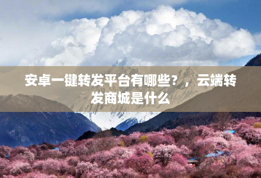 安卓一键转发平台有哪些?,云端转发商城是什么