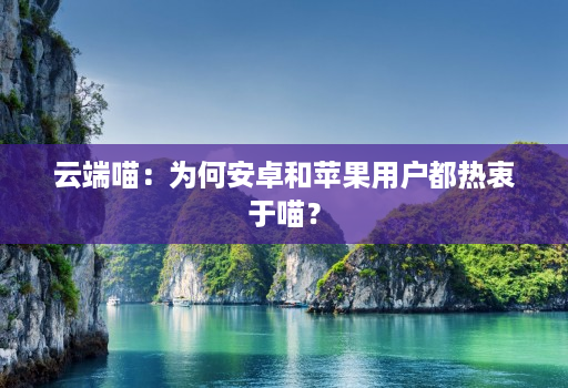 云端喵:为何安卓和苹果用户都热衷于喵?