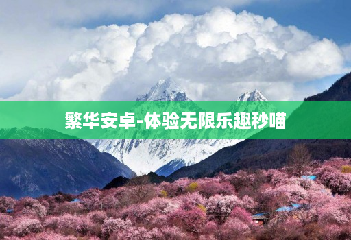 繁华安卓-体验无限乐趣秒喵 繁华安卓-体验无限乐趣秒喵