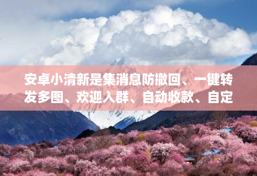 安卓小清新是集消息防撤回、一键转发多图、欢迎入群、自动收款、自定义骰子猜拳等实用功能于一体