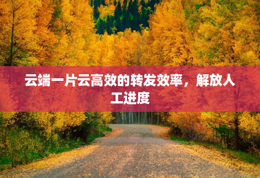 云端一片云高效的转发效率,解放人工进度