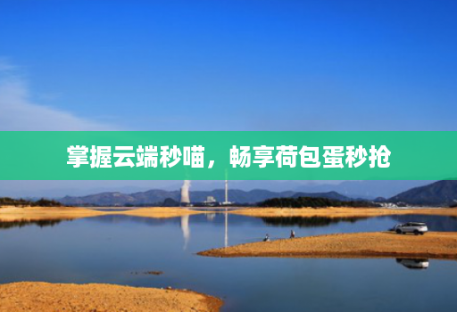 掌握云端秒喵，畅享荷包蛋秒抢