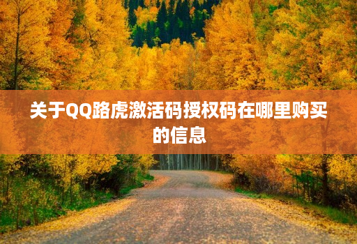关于QQ路虎激活码授权码在哪里购买的信息