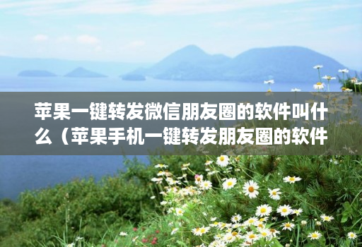 苹果一键转发微信朋友圈的软件叫什么(苹果手机一键转发朋友圈的软件叫什么) 苹果一键转发微信朋友圈的软件叫什么(苹果手机一键转发朋友圈的软件叫什么)