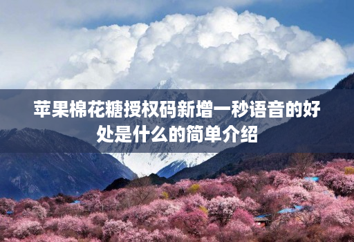 苹果棉花糖授权码新增一秒语音的好处是什么的简单介绍
