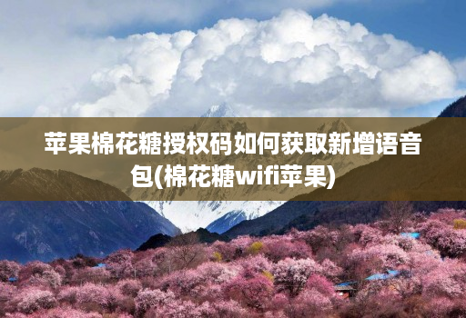 苹果棉花糖授权码如何获取新增语音包(棉花糖wifi苹果)
