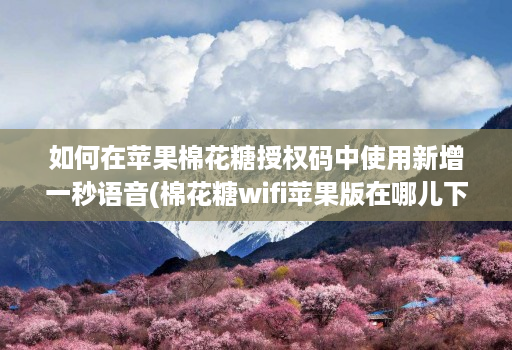 如何在苹果棉花糖授权码中使用新增一秒语音(棉花糖wifi苹果版在哪儿下载)