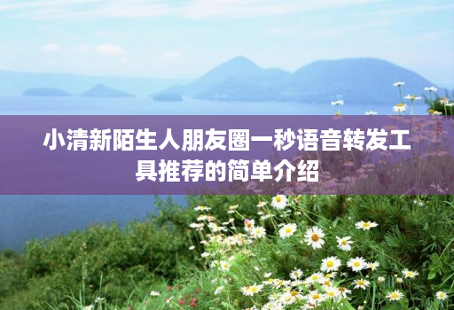 小清新陌生人朋友圈一秒语音转发工具推荐的简单介绍