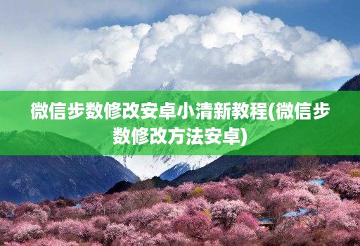 微信步数修改安卓小清新教程(微信步数修改方法安卓)