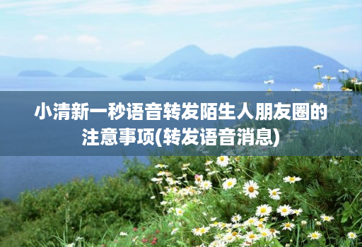 小清新一秒语音转发陌生人朋友圈的注意事项(转发语音消息)