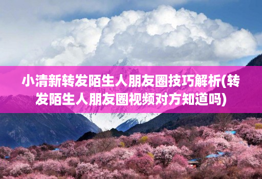 小清新转发陌生人朋友圈技巧解析(转发陌生人朋友圈视频对方知道吗)