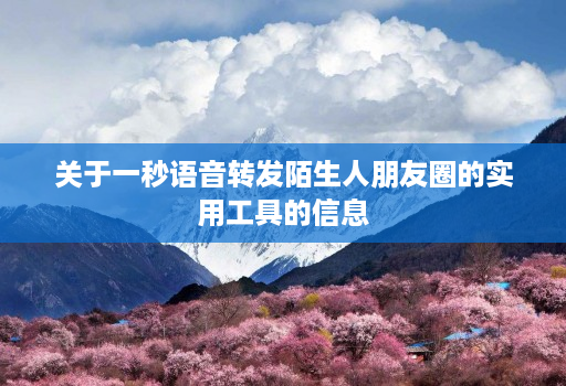 关于一秒语音转发陌生人朋友圈的实用工具的信息