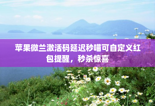 苹果微兰激活码延迟秒喵可自定义红包提醒,秒杀惊喜