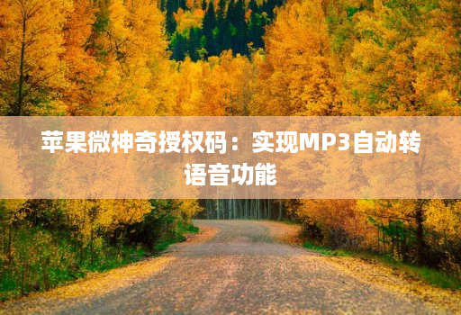 苹果微神奇授权码:实现MP3自动转语音功能 苹果微神奇授权码:实现MP3自动转语音功能