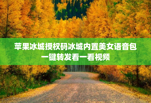 苹果冰城授权码冰城内置美女语音包一键转发看一看视频