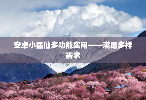 安卓小医仙多功能实用——满足多样需求