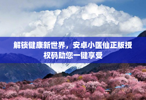 解锁健康新世界,安卓小医仙正版授权码助您一键享受