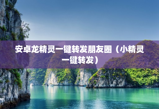 安卓龙精灵一键转发朋友圈（小精灵一键转发）