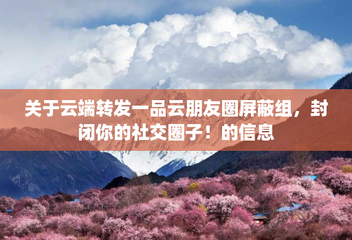 关于<strong>云端转发</strong>一品云朋友圈屏蔽组,封闭你的社交圈子!的信息