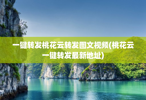 一键转发桃花云转发图文视频(桃花云一键转发最新地址)