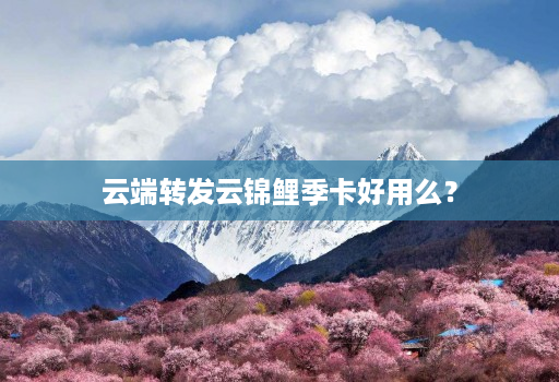 云端转发云锦鲤季卡好用么？