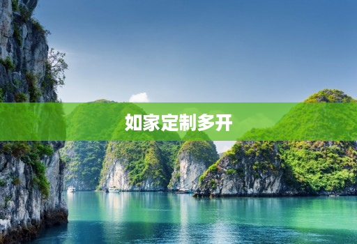 如家定制多开