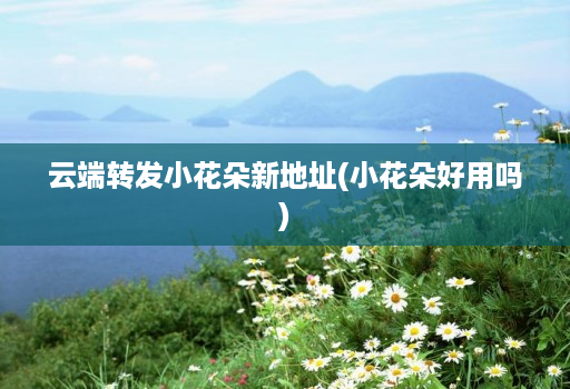 云端转发小花朵新地址(小花朵好用吗)